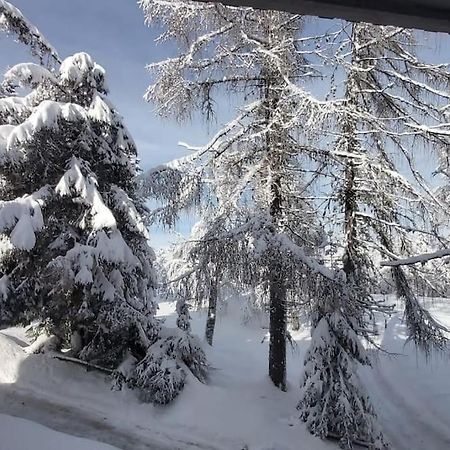 Apartamento Trento, Monte Bondone, Casa Tipica Di Montagna Norge Exterior foto
